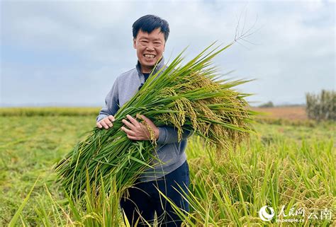 旱地能幹嘛|旱地耕作